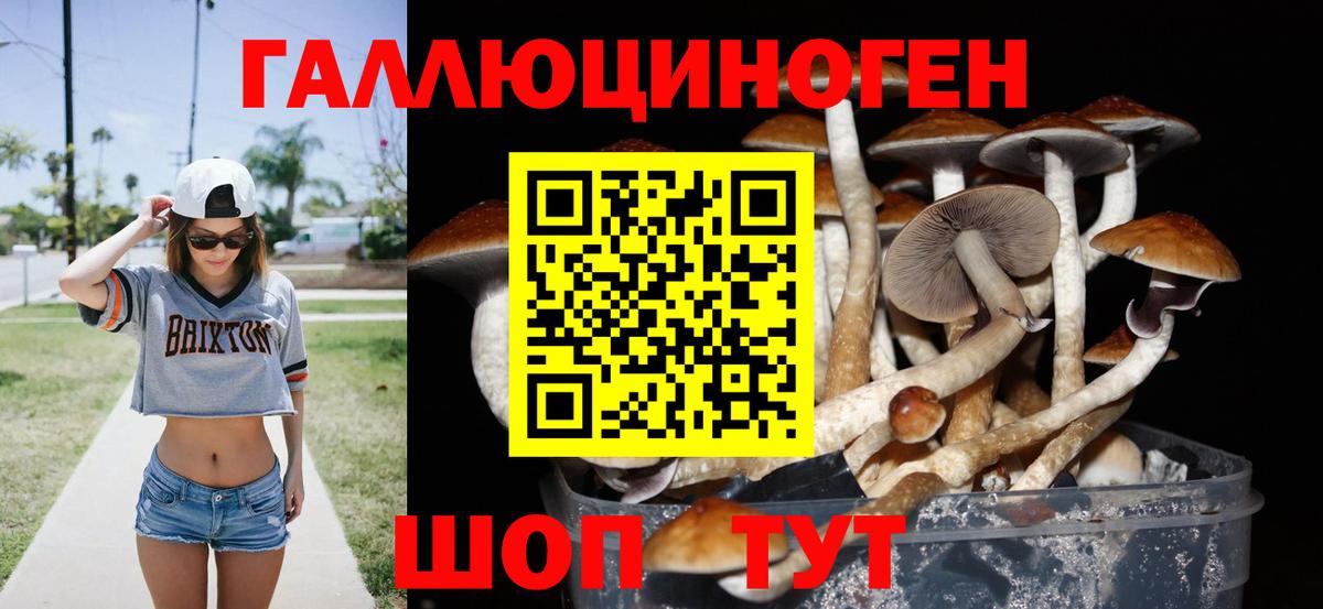 Псилоцибиновые грибы прущие грибы  Псилоцибиновые грибы MAGIC MUSHROOMS  Рыбинск  Вход с VPN 